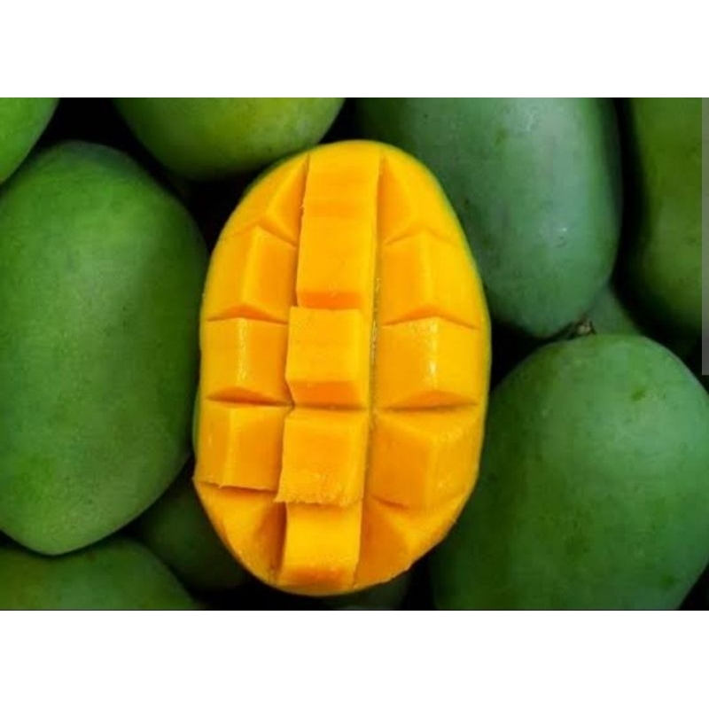 

Mangga Daging 1 kg UK 3 4