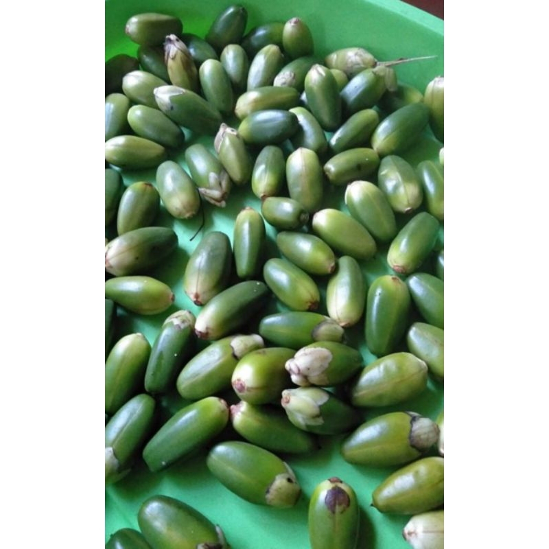 

Buah jeruju 1 ons + bonus 20 buah promo ready