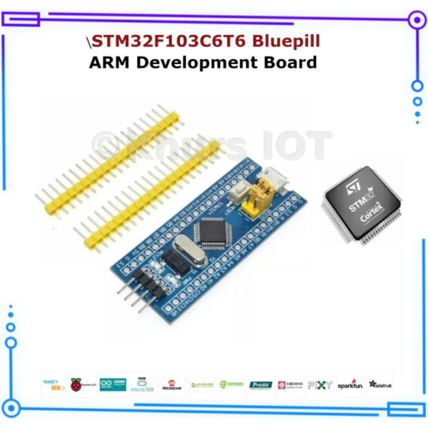 STM32F103C6T6 Bluepill STM32 F103C6T6 ARM Development Board Berkualitas