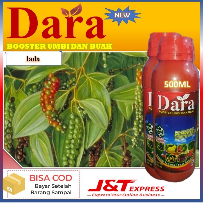 pupuk terbaru dara isi 500ml pupuk untuk tanaman lada pupuk boster umbi dan buah - manfaat pupuk ini