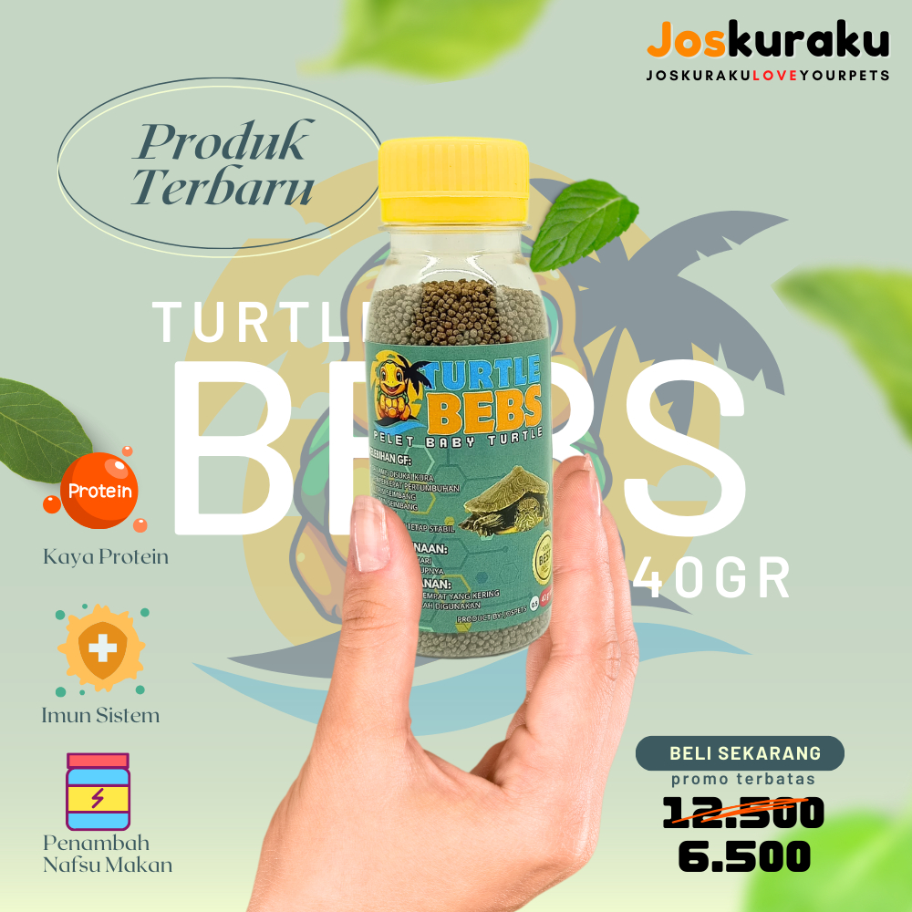 Pelet Kura Kura Brazil Baby Pelet Anakan Kura kura