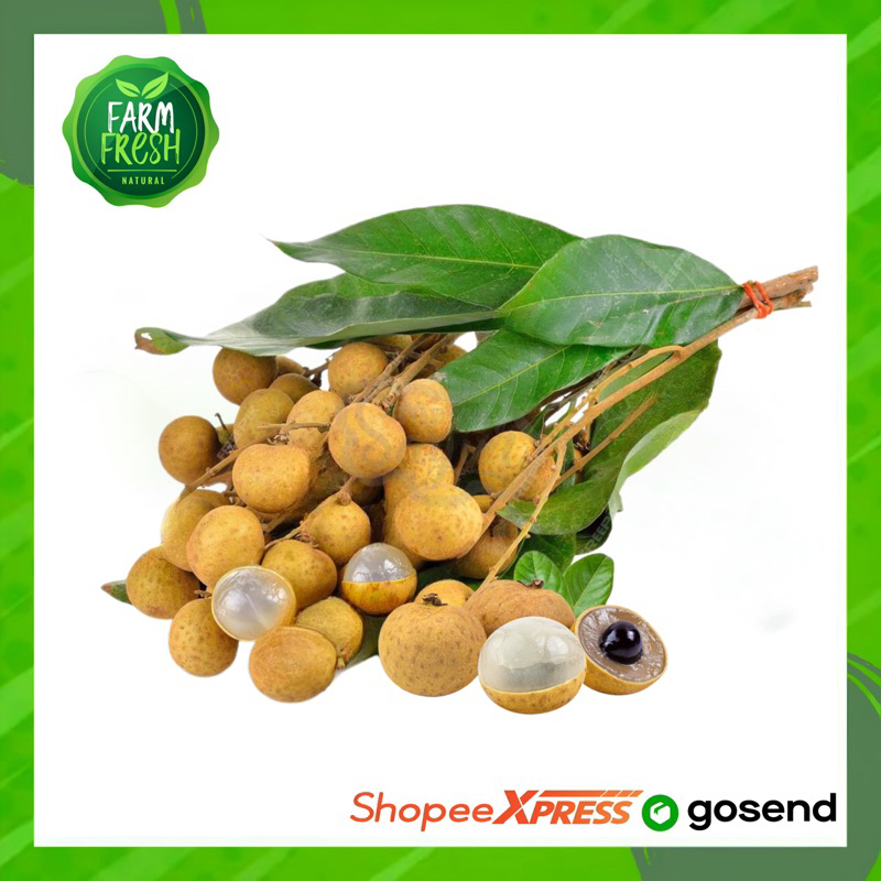 

KIRIM INSTAN Buah Kelengkeng / Lengkeng