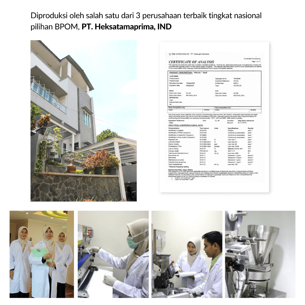 AMIRALAB Queen Secret Coffee Travelpack Minuman Kopi Pelancar Haidd Menstruasi Telat Terlambat Siklus Bulan Melancarkan Alami Ampuh Untuk Busui KB Kesehatan Wanita 40gr-5