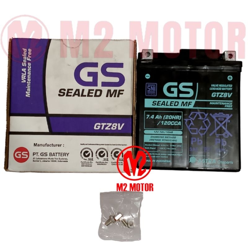 AKI GS GTZ8V
