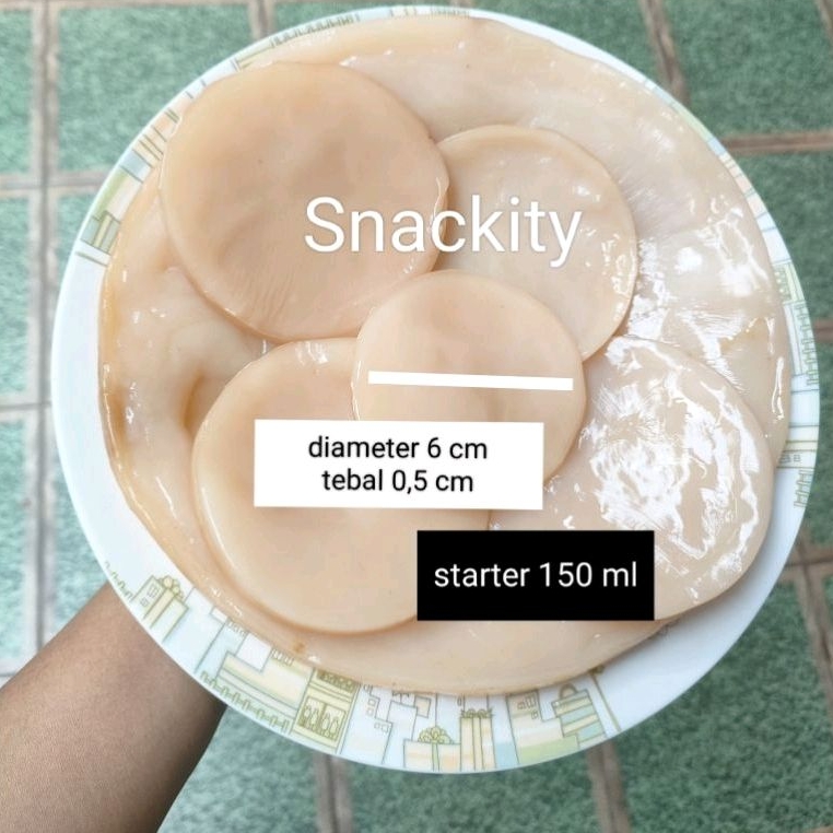 

Scoby fermentasi kombucha murah dan sehat ( bibit fermentasi)
