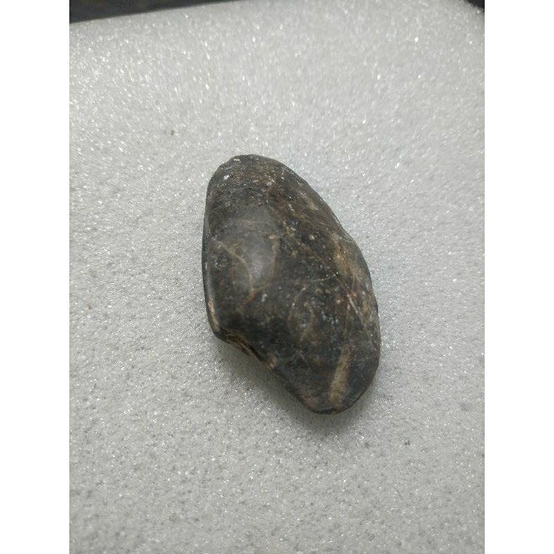 temuan sungai posil asli