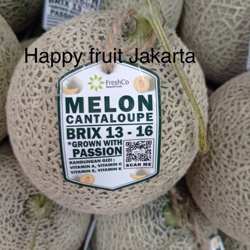 

Melon cantalope red | Buah melon cantaloupe BRIX 1,4 kg