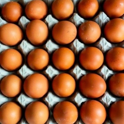 Telur Ayam 1kg telur ayam @1kg