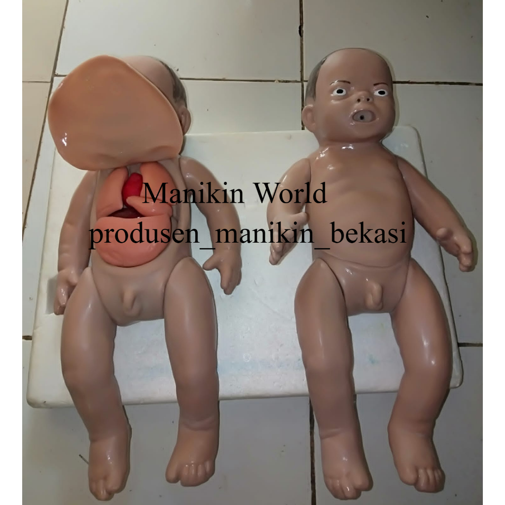 PHANTOM MANIKIN BAYI RESUSITASI DADA TERBUKA/ALAT PERAGA BAYI RESUSITASI