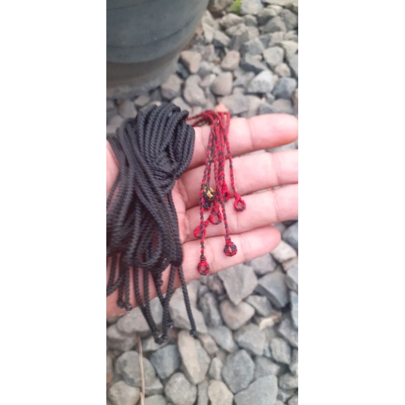 Tali burung kutilang/trucuk