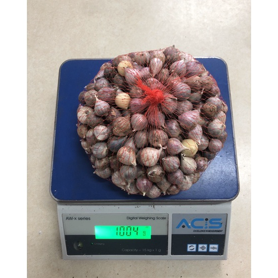 

Hot Sale Bawang Putih Tunggal Lanang SEDANG 1.5-2 CM 1 KG