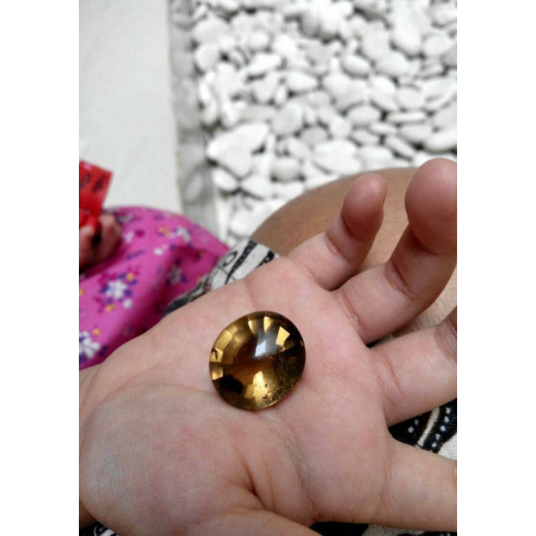 KECUBUNG TEH KALIMANTAN UKURAN BIG LANGKA Diskon