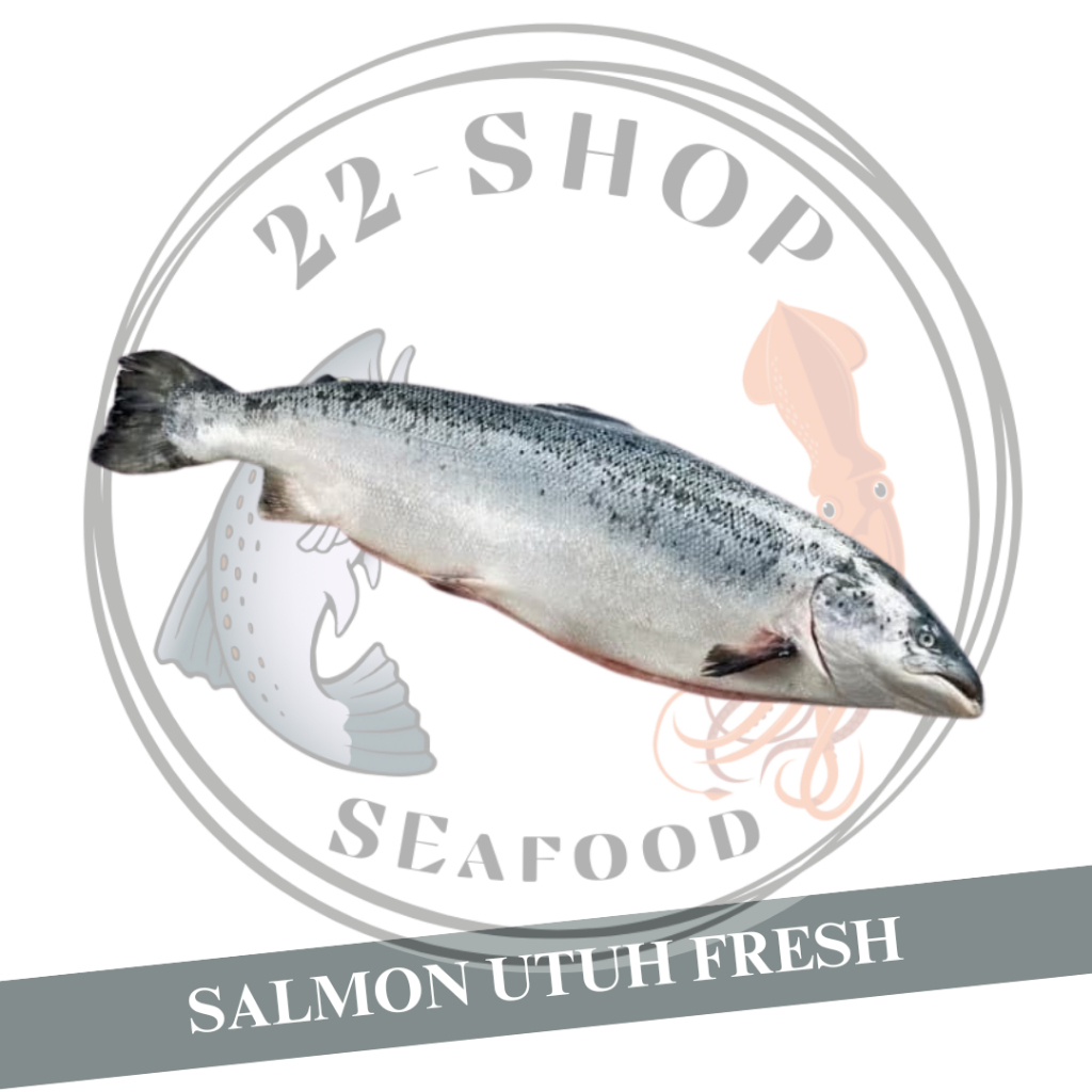 SALMON UTUH FRESH / NORWEGIAN SALMON UTUH FRESH PER EKOR SASHIMI GRADE