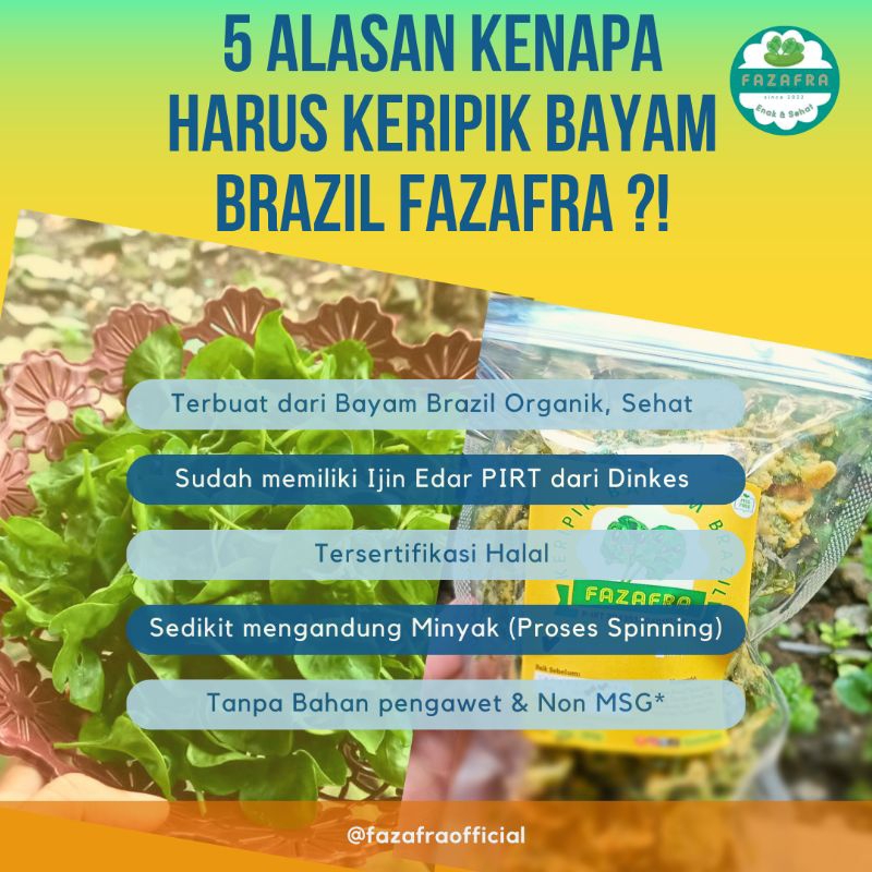 

Paket Usaha Reseller Keripik Bayam Brazil Crispy Fazafra | Keripik Sayur Organik tanpa MSG dan Pengawet | PIRT & Halal Certified