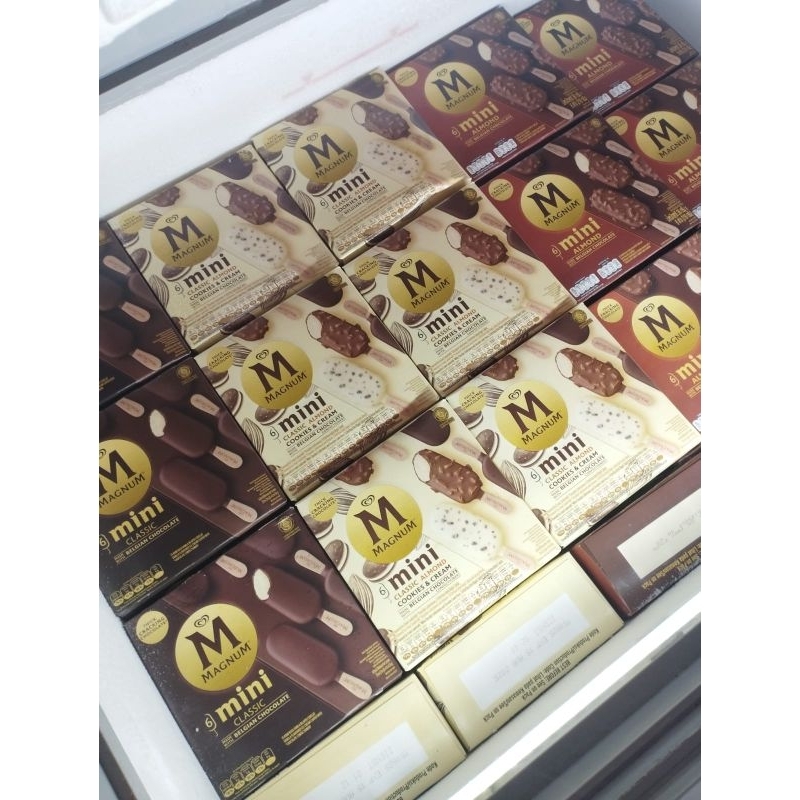 

Magnum Mini Box
