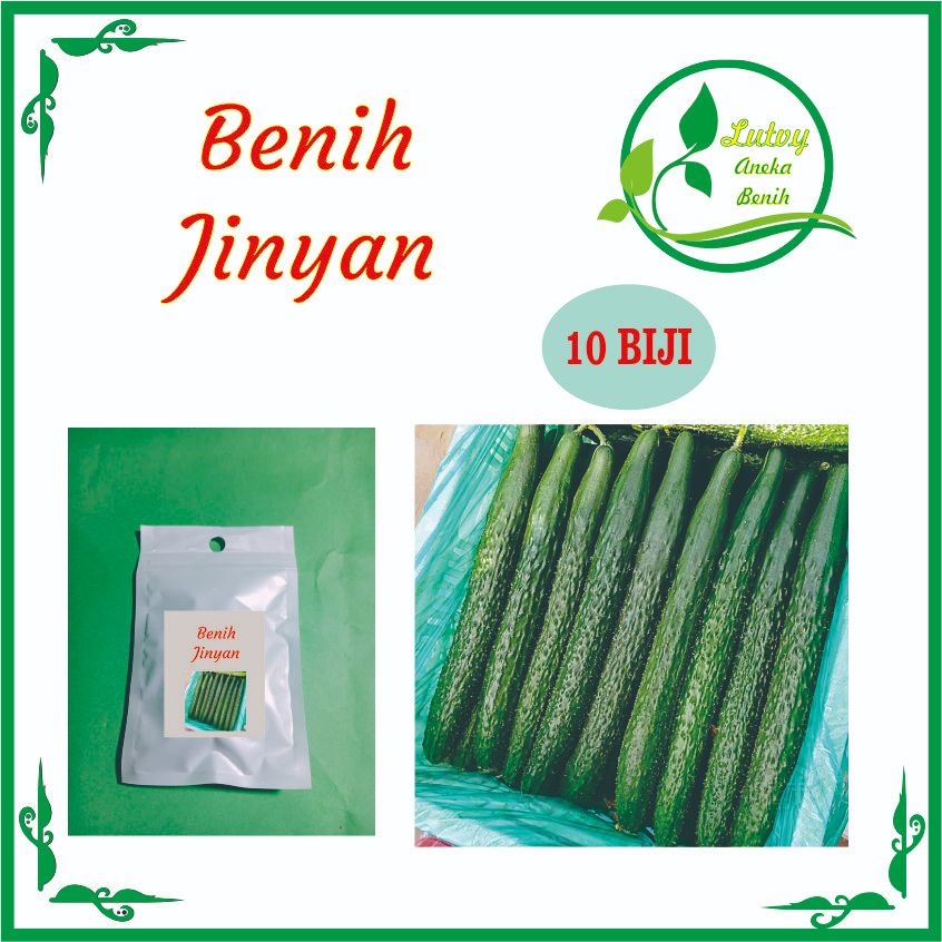 BENIH  TIMUN JEPANG TIMUN JEPANG ISI 10 BIJI