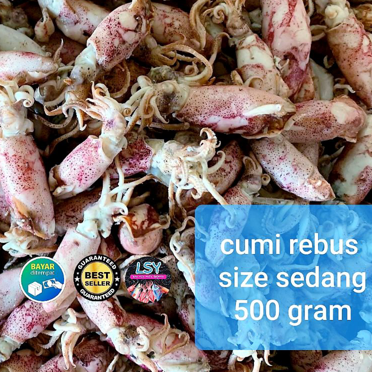 

WVBK1631 ikan asin Cumi rebus/ sotong rebus size sedang 500gr