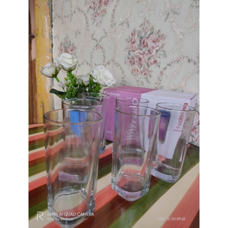 1 Box isi 6pcs Gelas Hokkaido CITINOVA