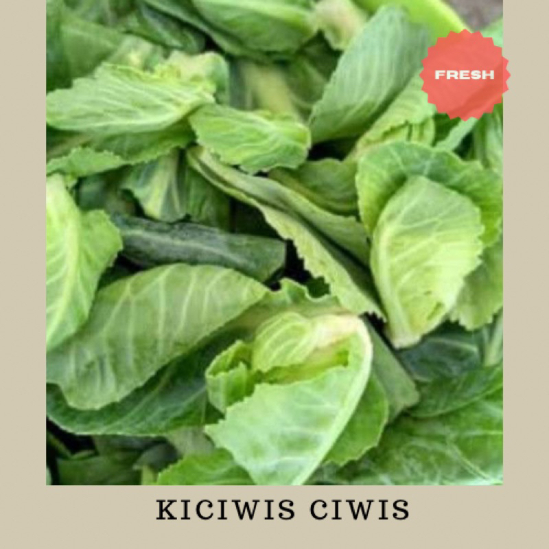 

Kiciwis Cuciwis Sayur Daun Kiciwis Fresh Sayuran 250 Gram