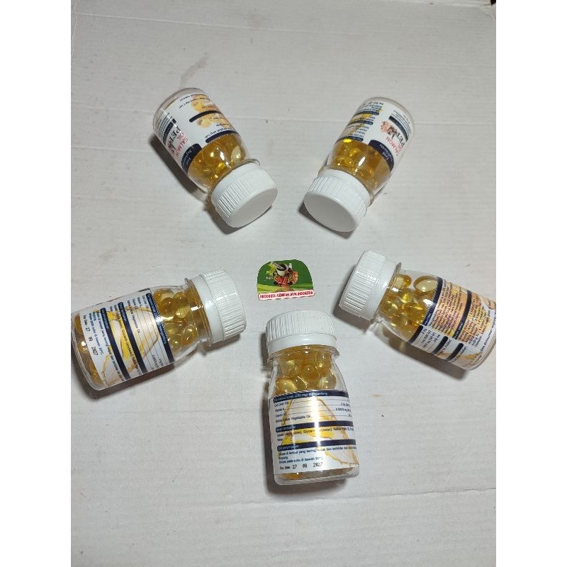 MINYAK IKAN SALMON OIL OMEGA 3