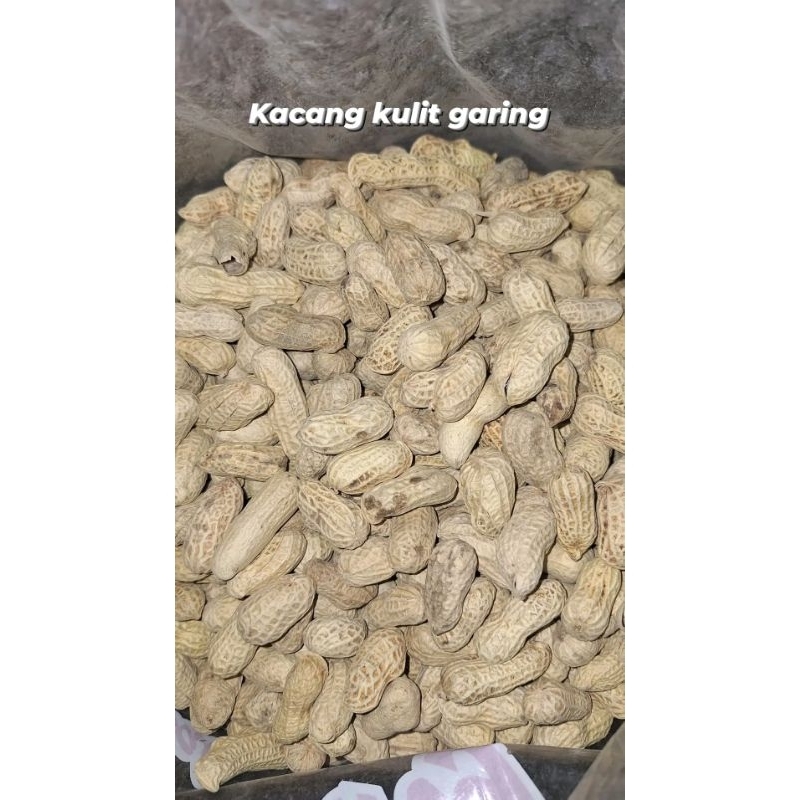 

kacang kulit garing 200g