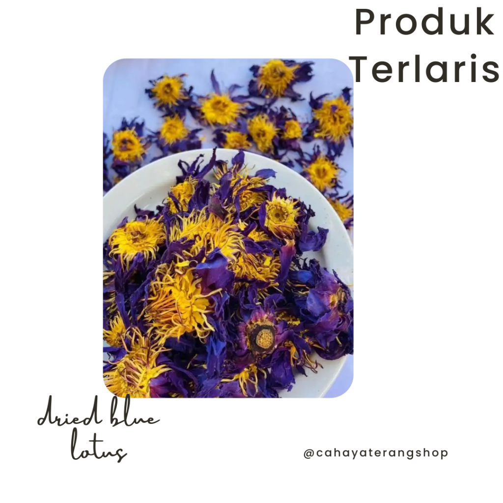 BUNGA LOTUS BIRU KERING / DRIED BLUE LOTUS PREMIUM !!