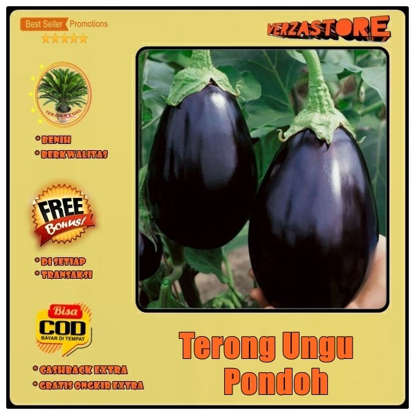 biji benih Terong pondoh ungu BONDAN /25 biji