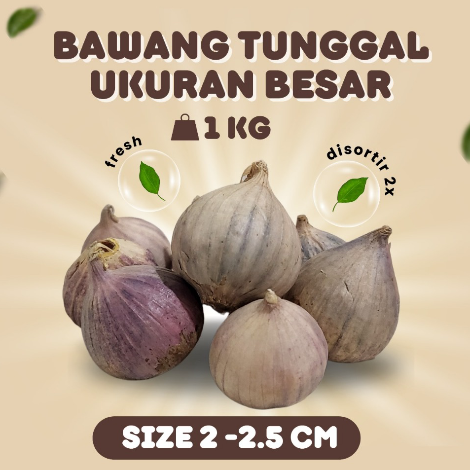 

DTCX2894 Bawang Putih Tunggal Lanang Besar 1KG