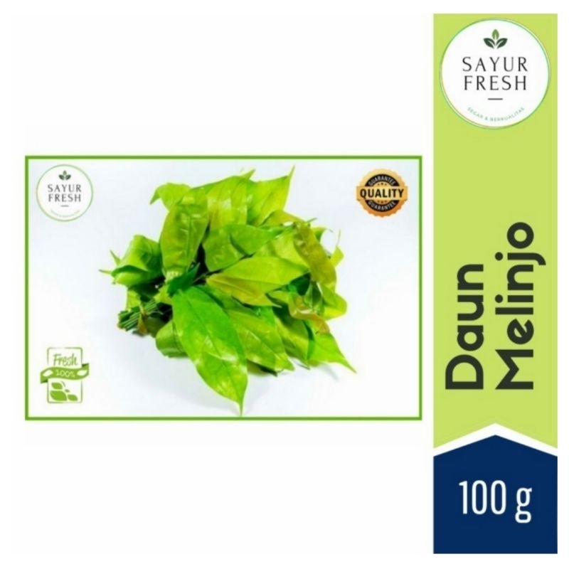 

Daun melinjo