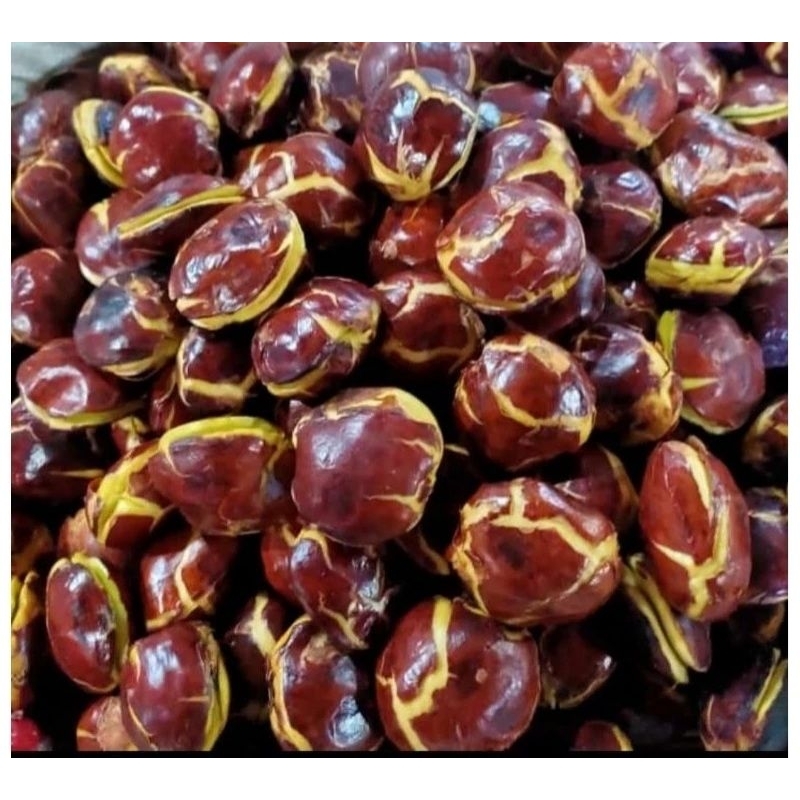 

Jengkol mentah