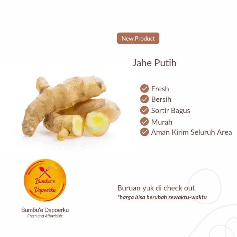 

Jahe Putih | Sortir Bagus | Fresh Product