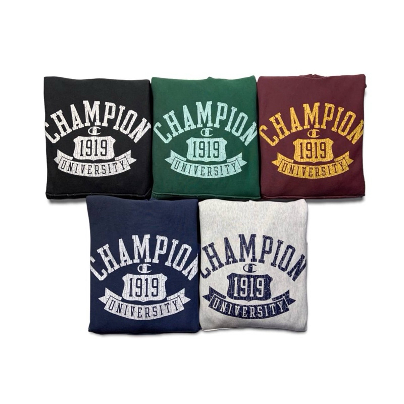 CHAMPION REVERSE WAVE HOODIE