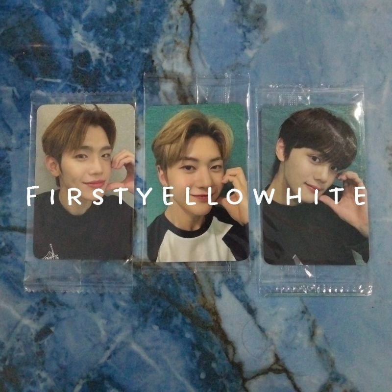 {READY STOCK} Photocard / POB Taerae Matthew Gyuvin ZEROBASEONE - 1st Mini Album [YOUTH IN SHADE] (K
