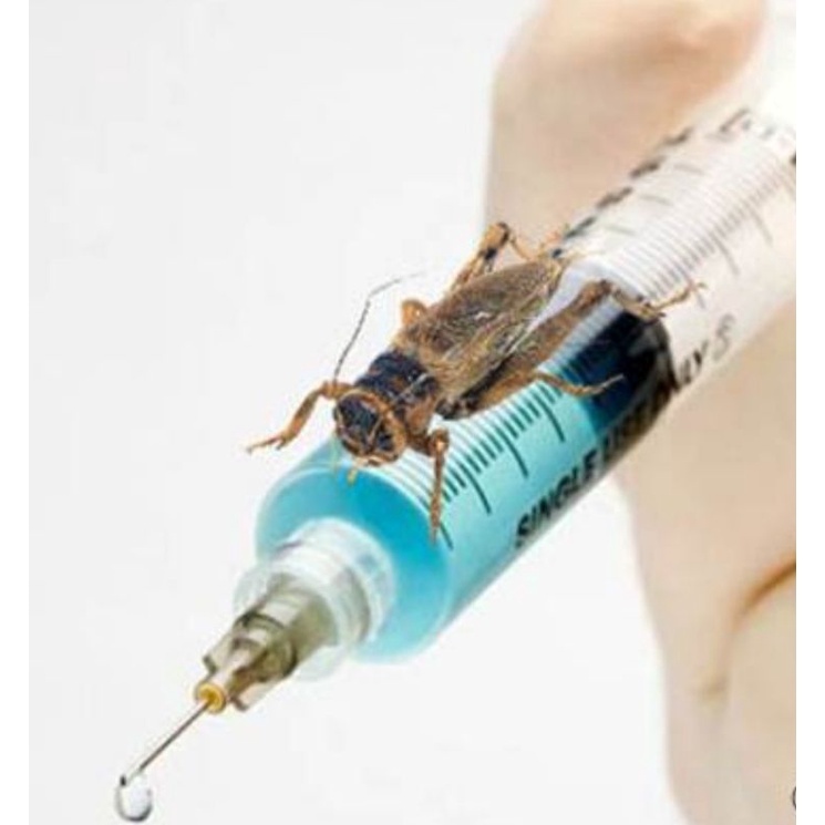 Spet Spuit Untuk Memasukan Vitamin Atau Obat Ke EF Jangkrik Dll