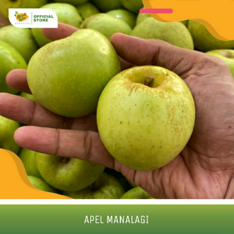 

APEL LOKAL MALANG MANALAGI