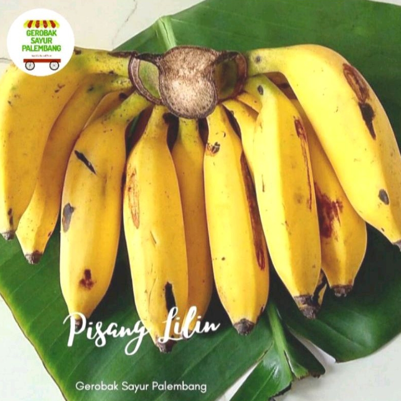 

Pisang Lilin per sisir - Gerobak Sayur Palembang