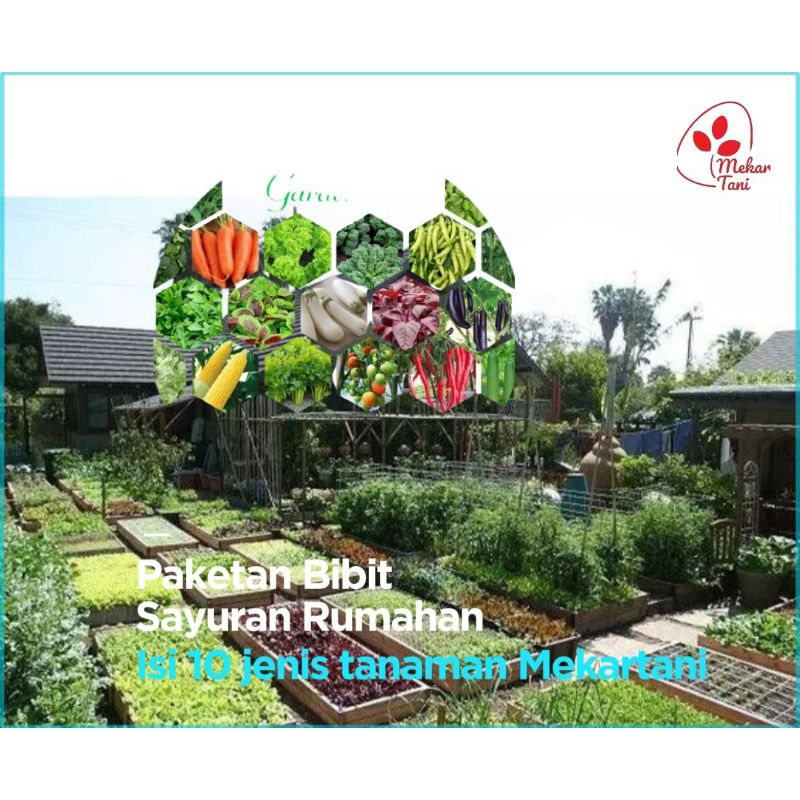 Paketan bibit biji sayuran rumahan 10 jenis tanaman produk Mekartani