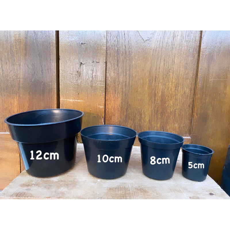 POT 12CM / POT 10CM / POT 8CM / POT 5CM / POT NKT / POT HITAM / POT NKT 5CM / POT KAKTUS / POT MINI 