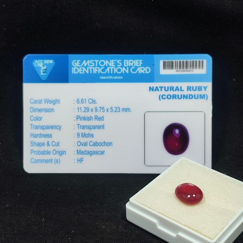 BATU PERMATA RUBY ASLI NATURAL BERSERTIFIKAT TOP QUALITY