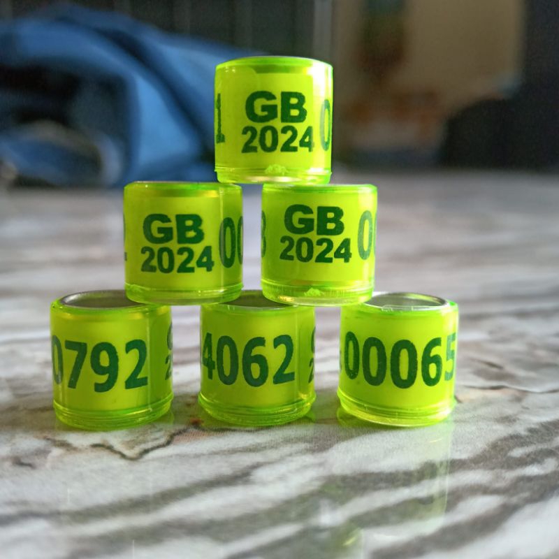 50pcs ring impor ring merpati pos