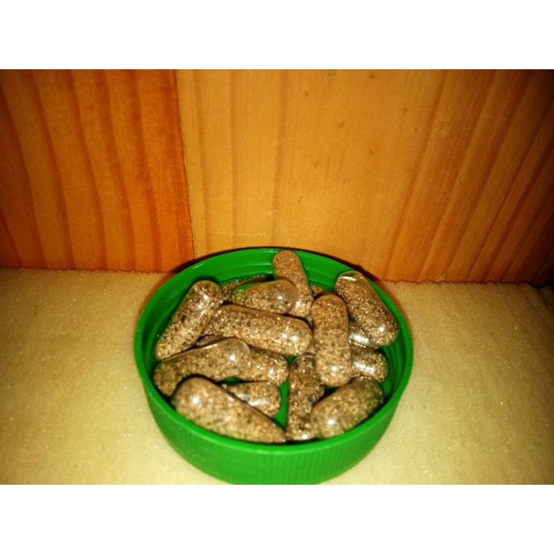

telur moina macrocopa