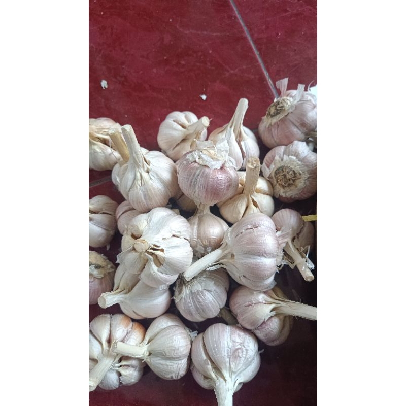 

bawang putih kating 1kg (sudah bersih)