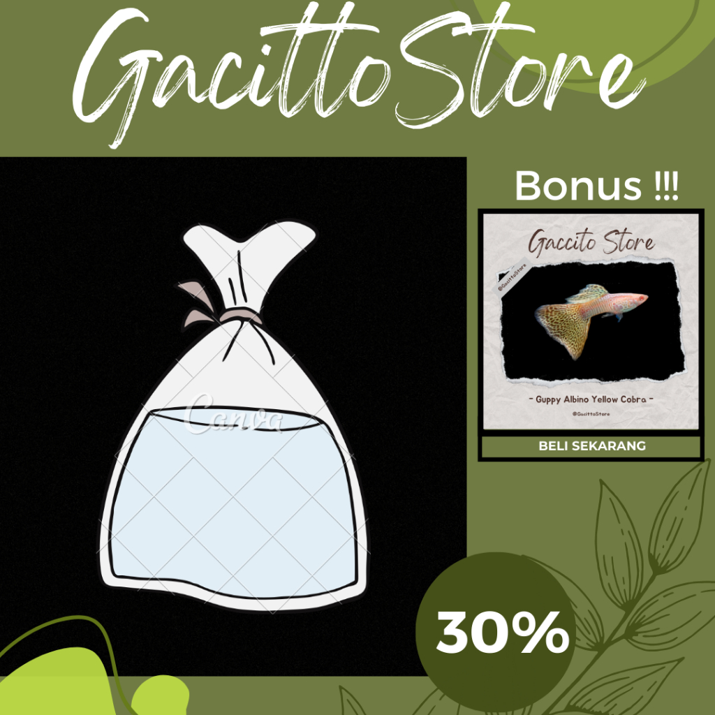 Guppy Albino Yellow Cobra