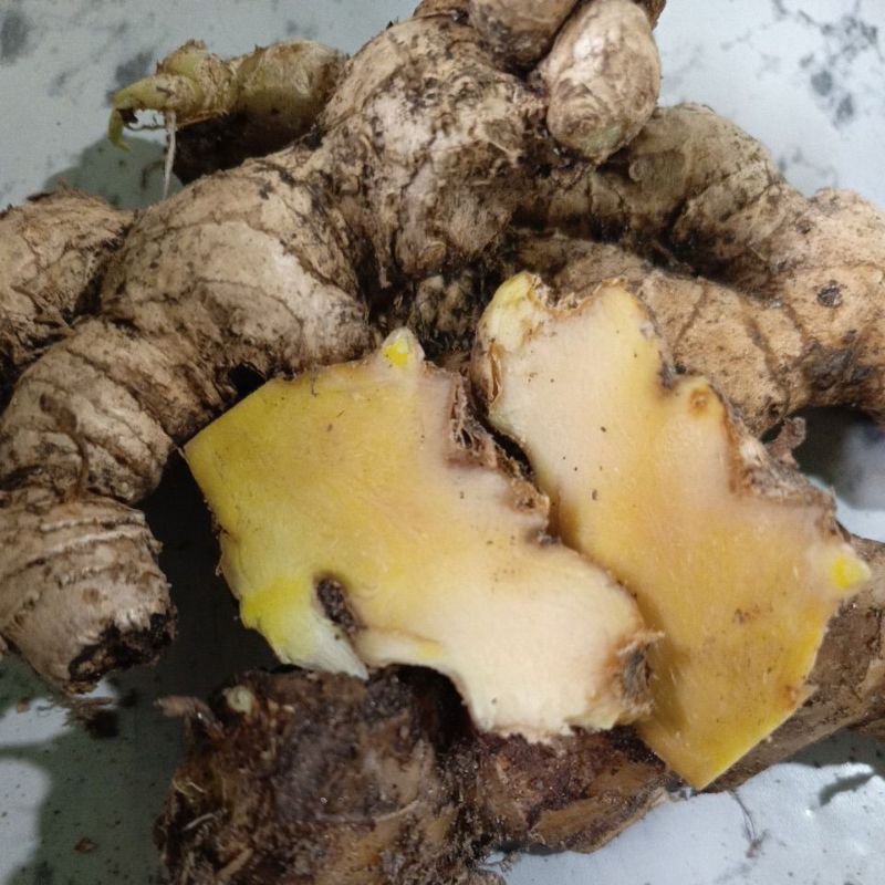 

Lempuyang Segar 500 Gram