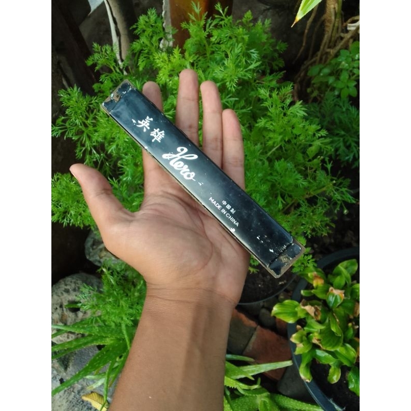 harmonica Hero 24hole