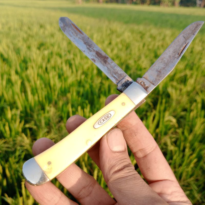 Case XX 3254 TRAPPER Jack Pocket knife 1999 pislip vintage classic everyday carry 30114 oval shield 