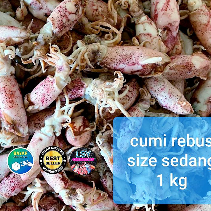

★★★★★ ikan asin cumi rebus / sotong rebus size sedang 1kg ➮➟✤