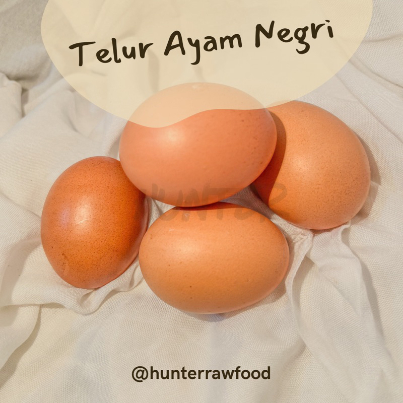 

TELUR AYAM NEGRI 15 BUTIR | TELOR AYAM SEGAR | PENGIRIMAN INSTANT | 500 gr dan 1000 gr | 1 KG