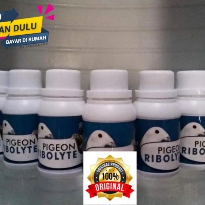 vitamin pengganti energi rebolyte ribolit rebolite vetafarm khusus burung merpati dara