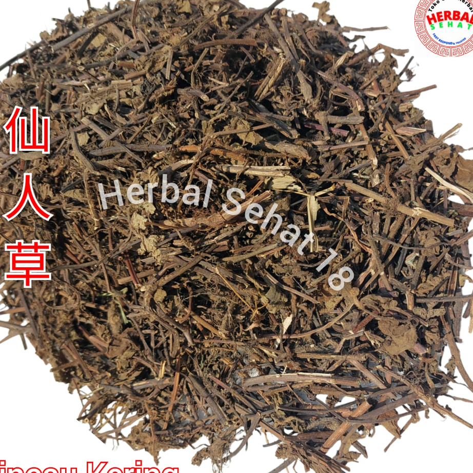 

Seller Daun Cincau Hitam Kering 1 Kg 1000 Gram Lengkong Leng Kong Cingcau Xian Ren Cao